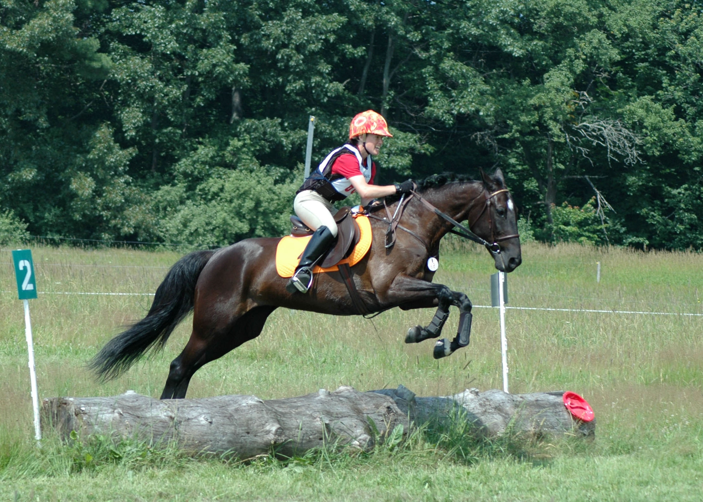 gashorsetrial2008.jpg