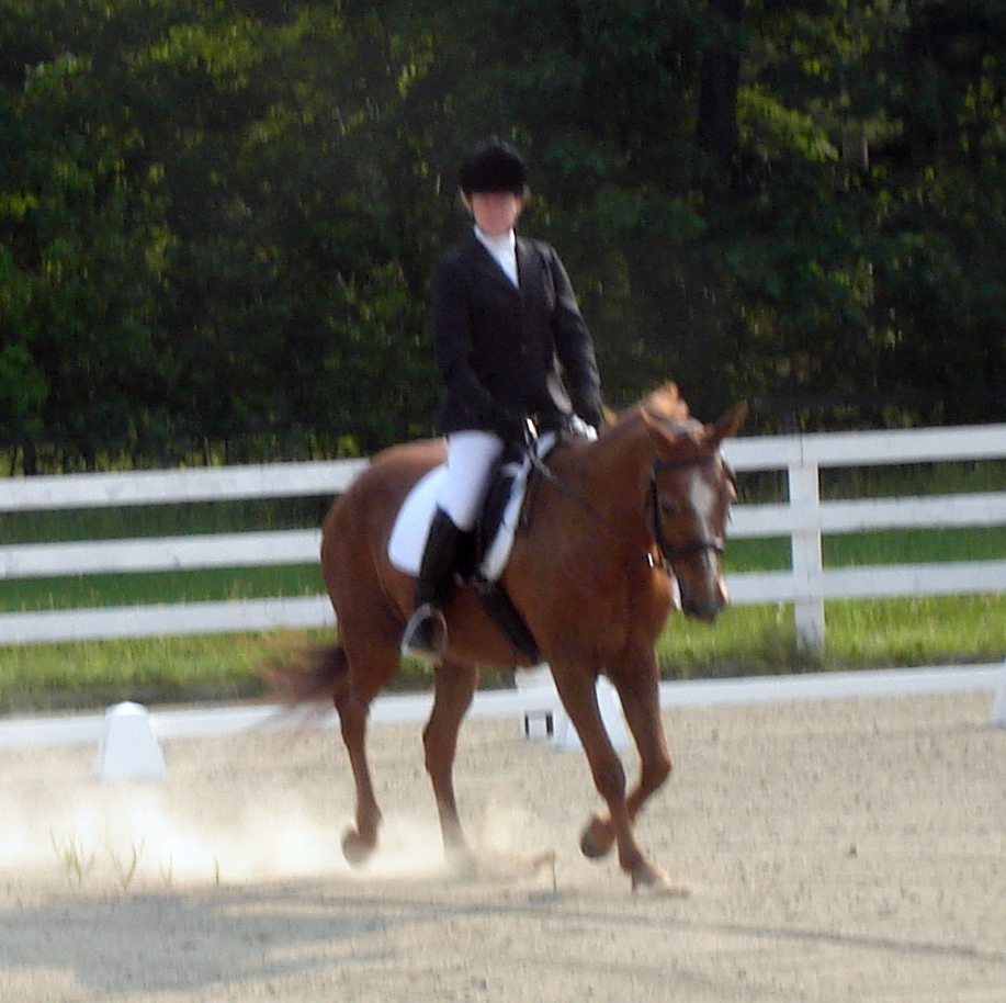 summer2006smda.jpg